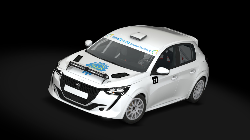 PEUGEOT 208 RALLY4